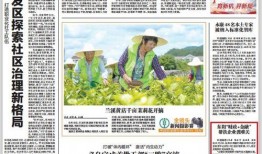 金华爆料最新消息新闻,聚焦重大新闻事件深度解析